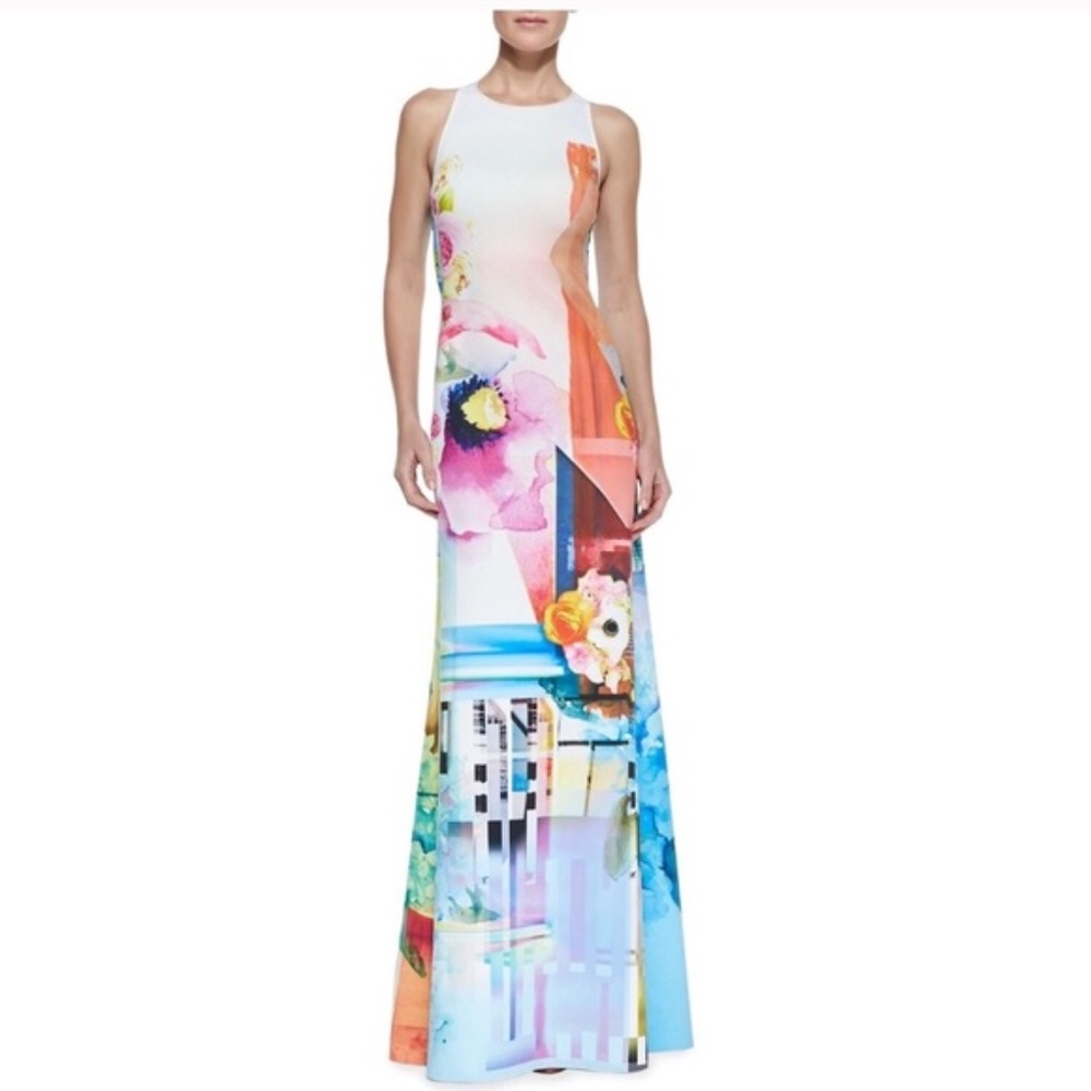 Clover Canyon NWT Florescent Rose Maxi Dress